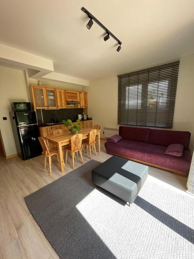 Apartament Zakopane Willa Hrube Parter Z Tarasem I Kominkiem Exterior photo