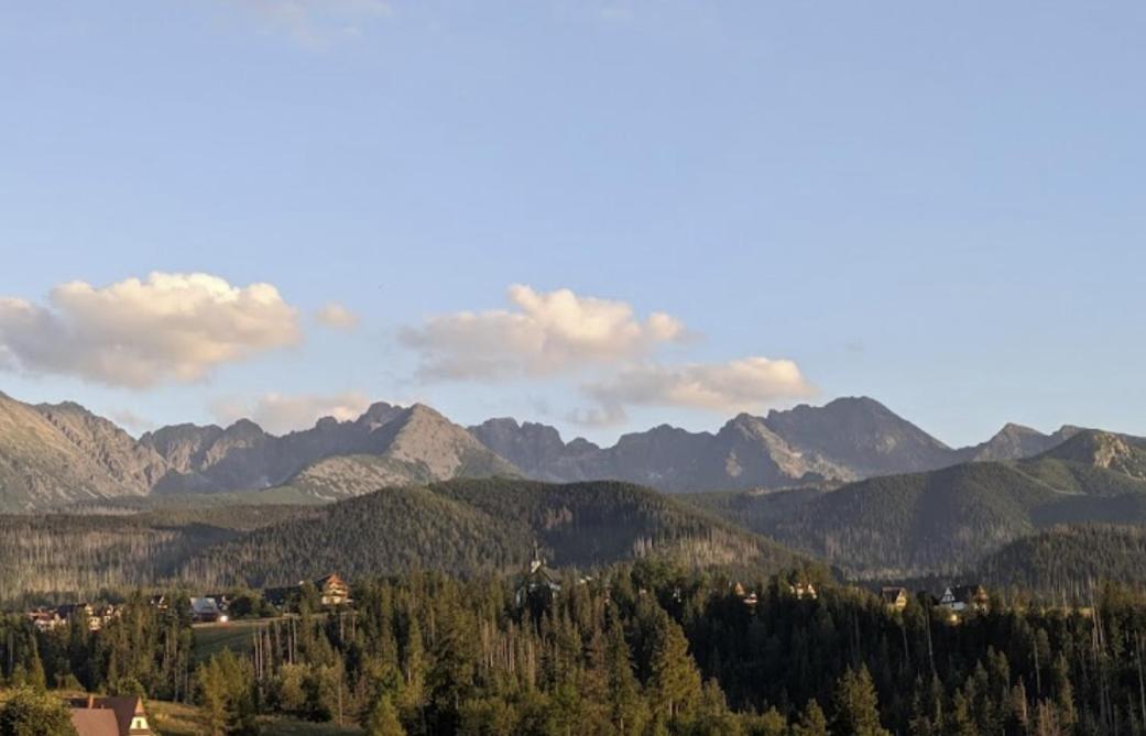 Apartament Zakopane Willa Hrube Parter Z Tarasem I Kominkiem Exterior photo